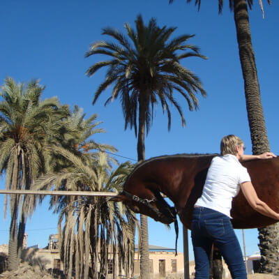 van reeth, CHANTAL CHANTAL van reeth